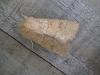 Orthosia miniosa